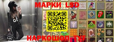 mdpv Краснознаменск