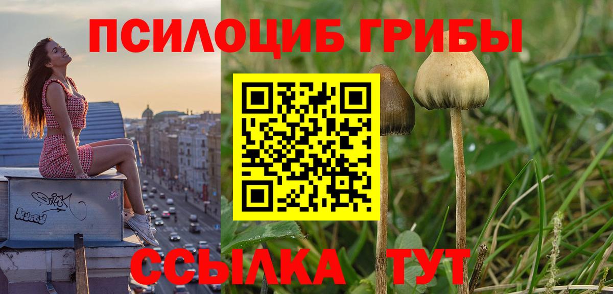 Елабуга  Псилоцибиновые грибы Magic Shrooms  Вход с VPN  наркота  Галлюциногенные грибы мухоморы 